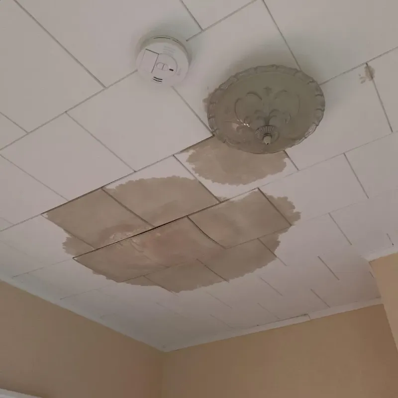 Ceiling Water Damage Repair in Wolverine Lake, MI