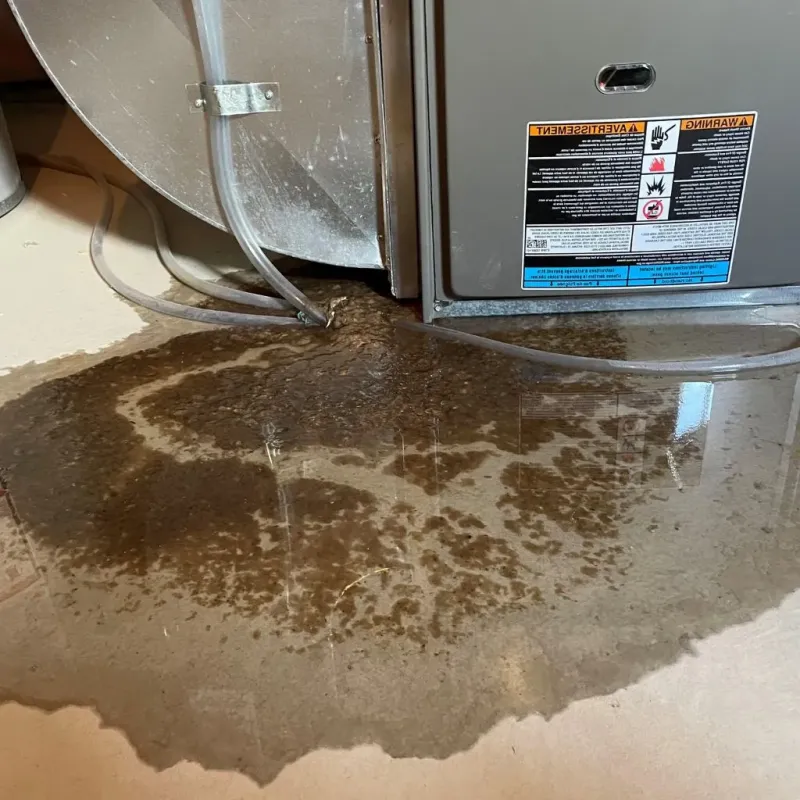 Pipe Burst and Leak Restoration in Wolverine Lake, MI
