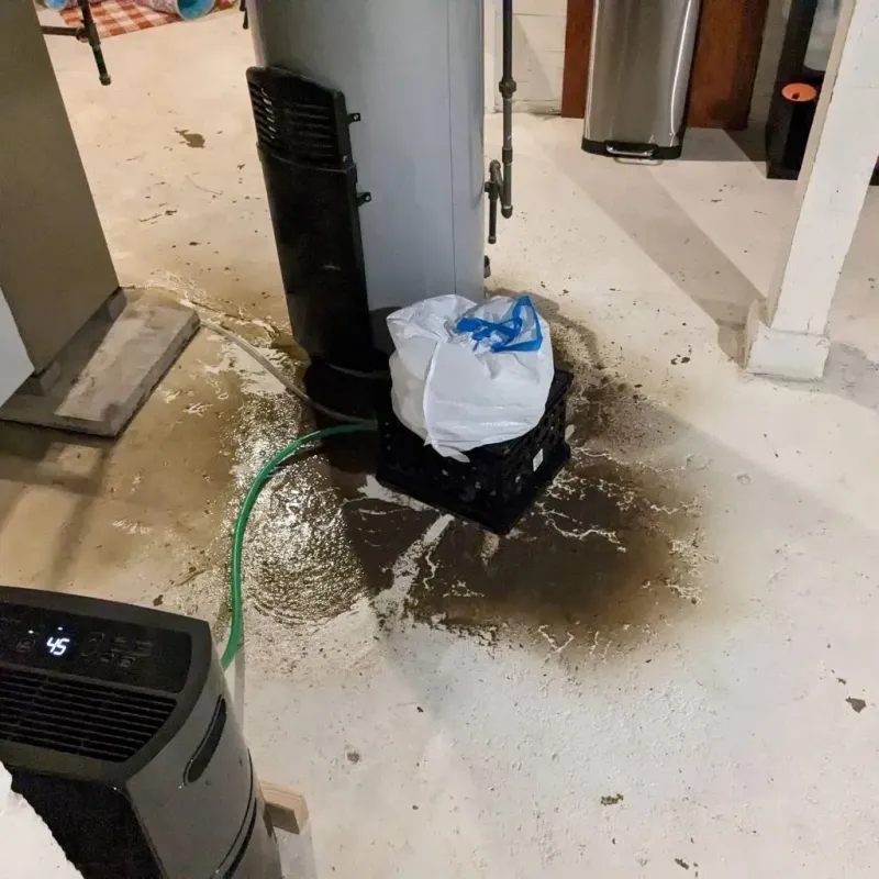 Sewage Backup Cleanup Service in Wolverine Lake, MI